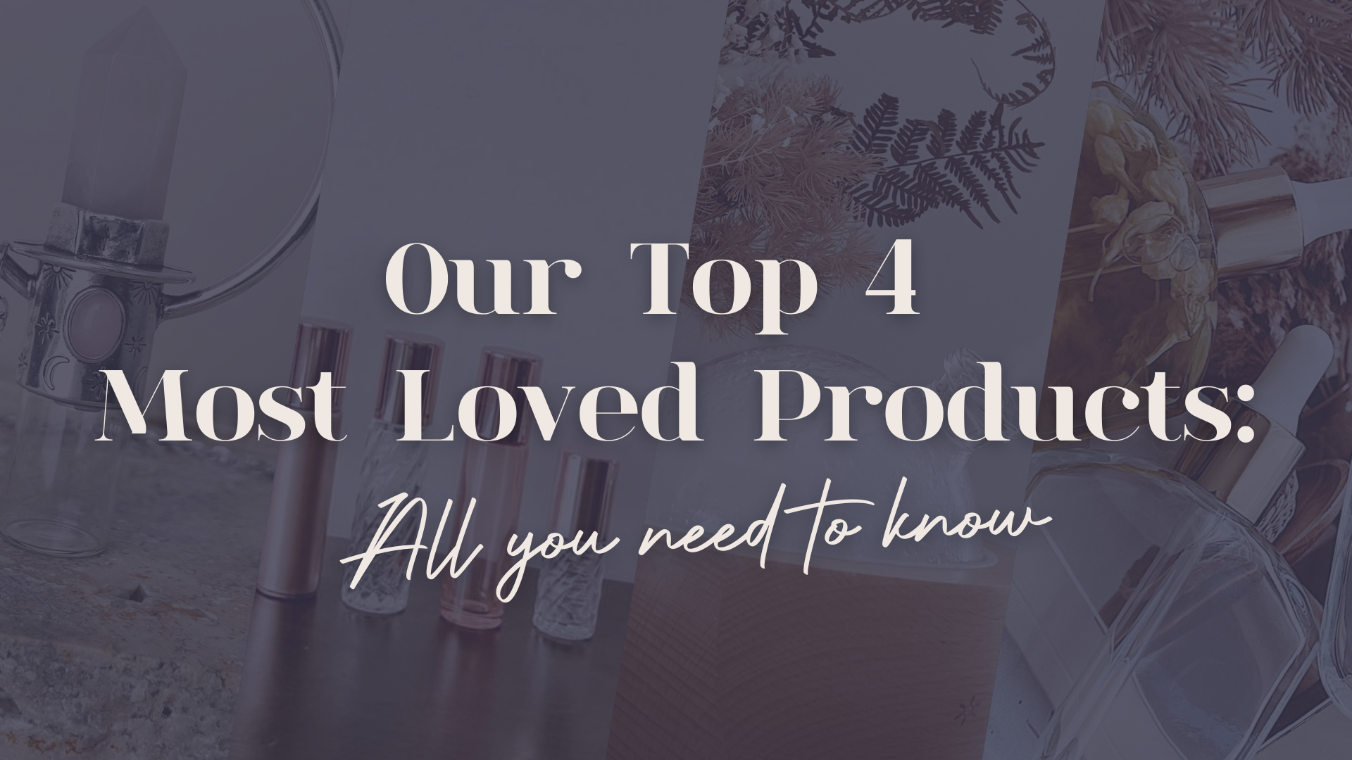 Our Top 4 Most Loved Products | Six Rays Co